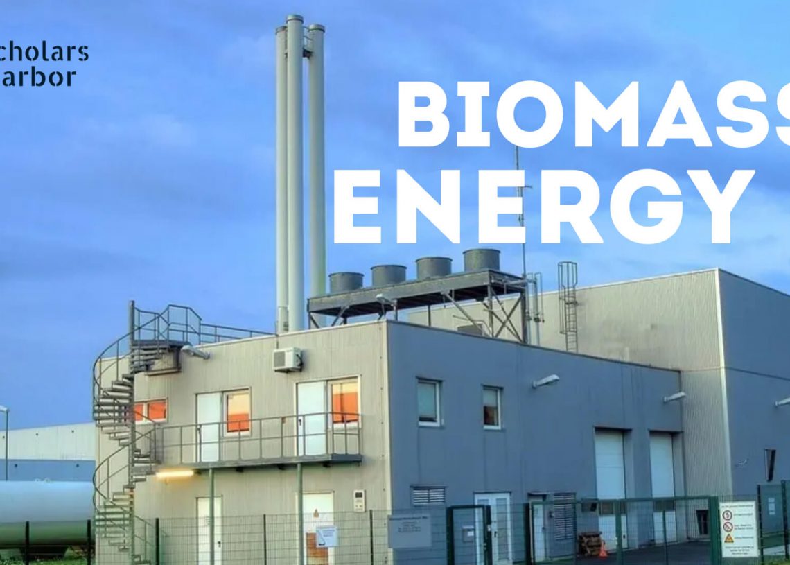 Biomass Energy and its Conversion Technologies Explained Scholars